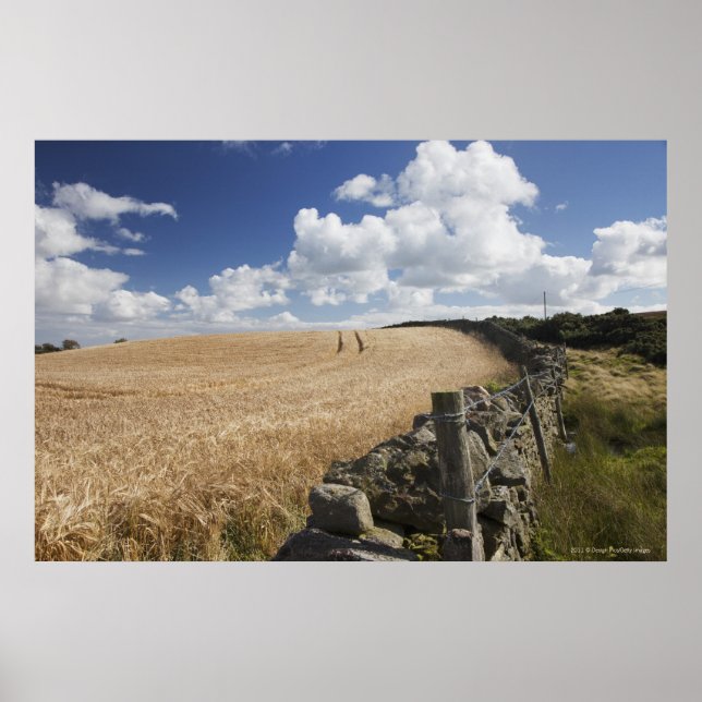 Ett stängslet av barbertråd Byggt vid ett stenstän Poster (Framsidan)