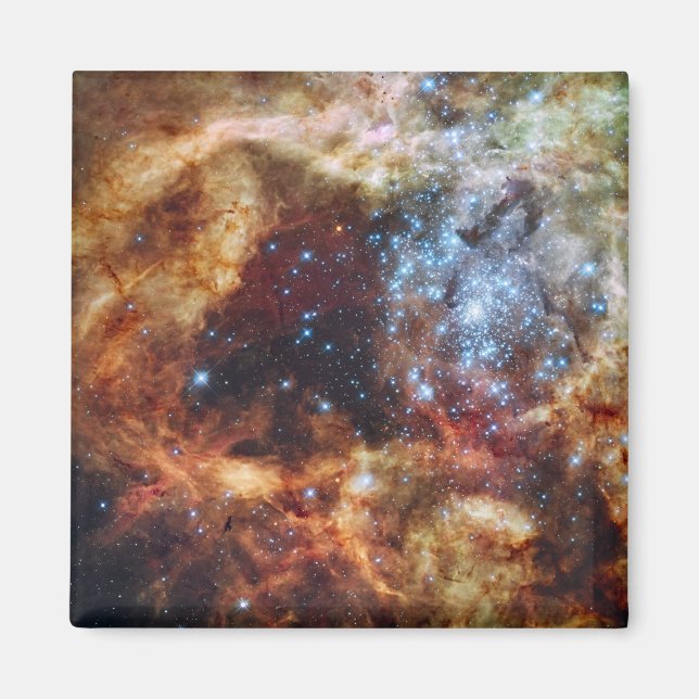 Ett stellärt daghem kallat R136 Magnet (Framsidan)