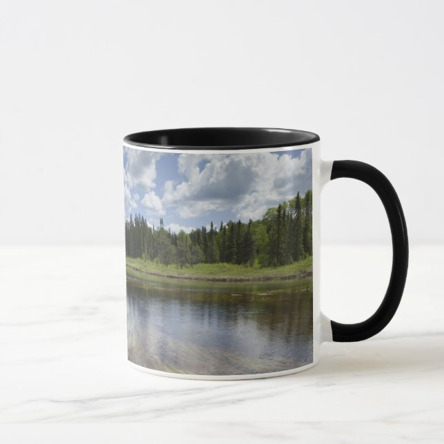 Ett stilla damm som reflekterar molnen mugg (Höger)