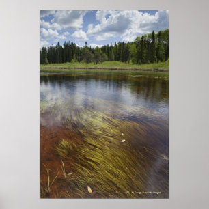 Ett stilla damm som reflekterar molnen poster