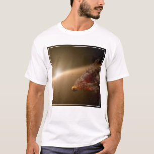 Ett stort fel runt Star Ngc 2547-Id8. T Shirt