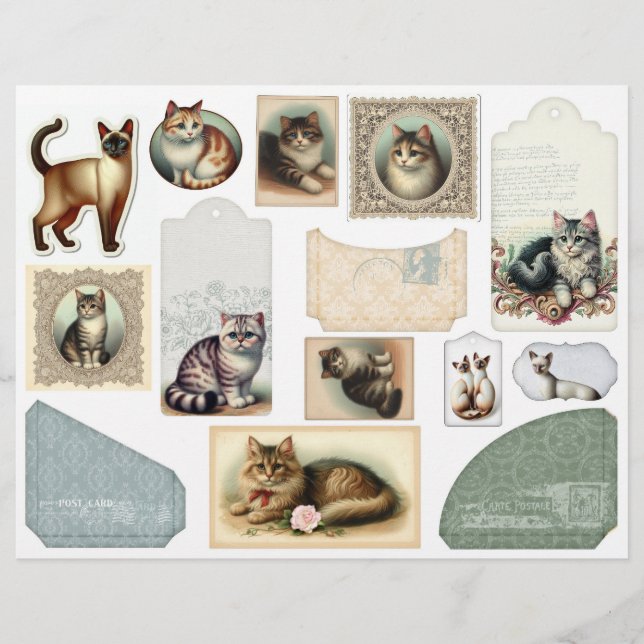 Ett stort kuvert plus Söt-katter i Lacy Ramar (Framsida)