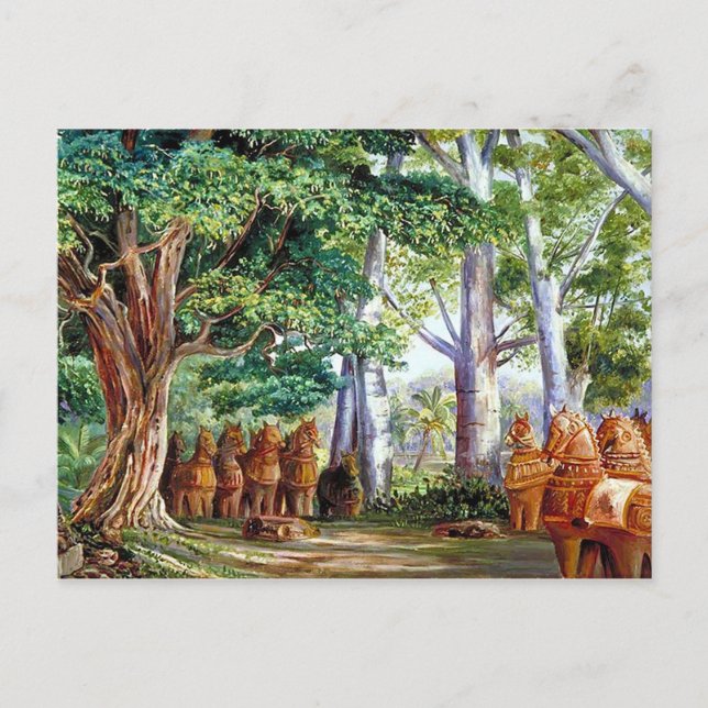 Ett stort Tamarind Träd-vykort Vykort (Framsida)