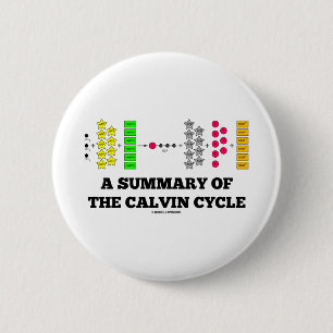 Ett summariskt av Calvinen cyklar (Photosynthesis) Knapp