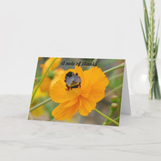 Ett tack kort