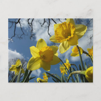 ETT TECKEN PÅ VÅR VYKORT