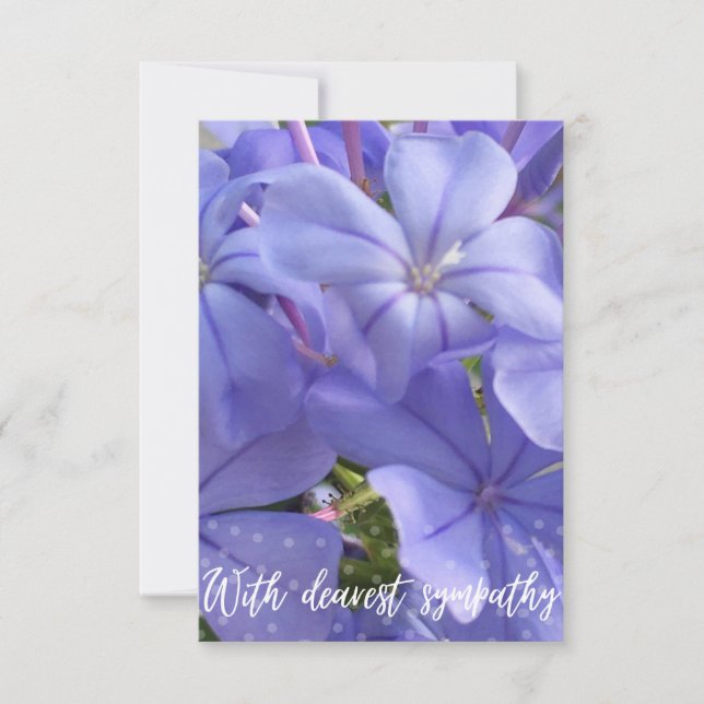 Ett tips om Z "Med djupaste sympati"-kort Tack Kort (Framsida)