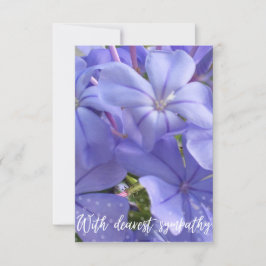 Ett tips om Z "Med djupaste sympati"-kort Tack Kort