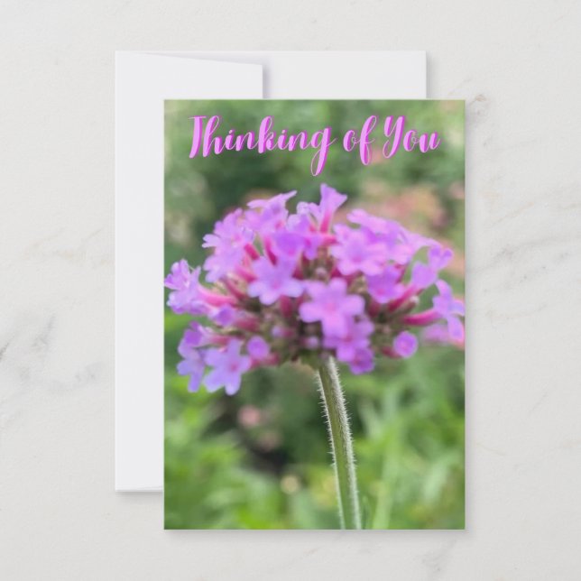 Ett tips om Z "Thinking of You"-kort Tack Kort (Framsida)