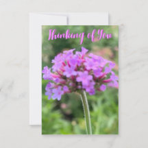 Ett tips om Z "Thinking of You"-kort