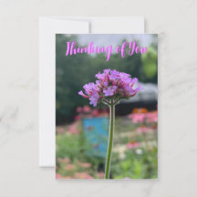 Ett tips om Z "Thinking of you"-kort