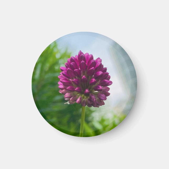 Ett tips på magneten "Mörk Rosa Blommigt" Magnet (Framsidan)