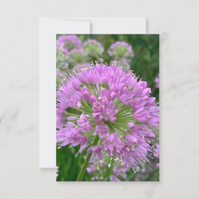 Ett tips på Z-kortet "Light lavender blommigt" Tack Kort (Framsida)