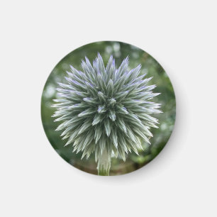 Ett tips på Z-magnet "Grönt Fireworks Blommigt" Magnet