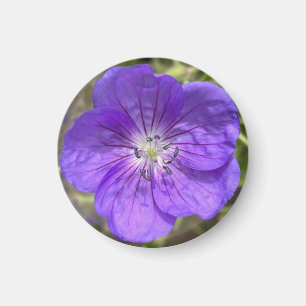 Ett tips på Z-magnet "Lila Blommigt" Magnet