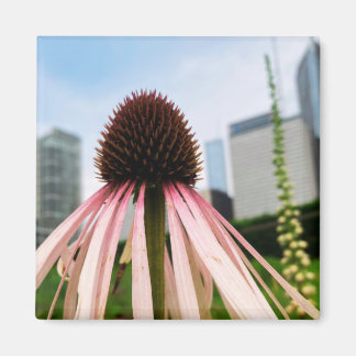Ett tips på Z-magnet "Rosa och vit Blommigt" Magnet