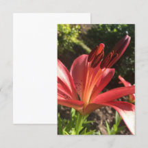 Ett tips på Z "Solid Red Flower"-kort