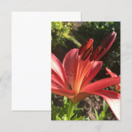 Ett tips på Z "Solid Red Flower"-kort Tack Kort