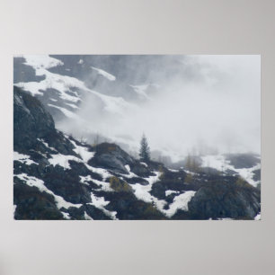 Ett träd i misten poster