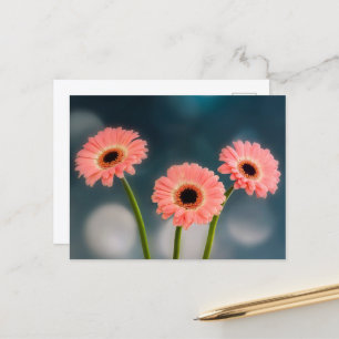 Ett treblad av rosa Gerbera vykort