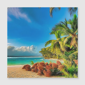 Ett tropiskt paradis.