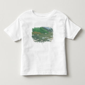 Ett tyst tränga någon i Moutains Tee Shirt