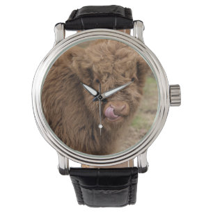 Ett underbart fotograferar av en höglands- ko armbandsur