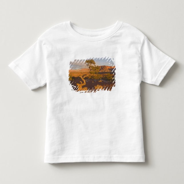 Ett Utah-enbärsträd (Juniperus osteosperma) i T-shirt (Framsida)