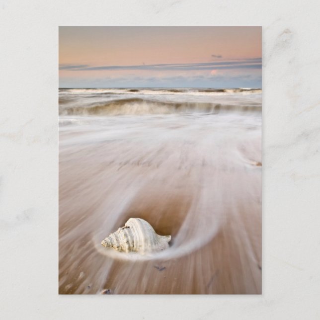 Ett vackert fack | Costa Blanca, Spanien Vykort (Framsida)