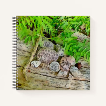 Ett vackert journal med naturen och 