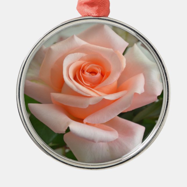 Ett vackert Rosa ros Premium Round Ornament (Framsidan)