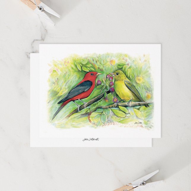 Ett vackert Scarlet Tanager-kort för par antecknin (Beautiful Scarlet Tanager Watercolor Blank Note Cards from Jenn Steffen Art)