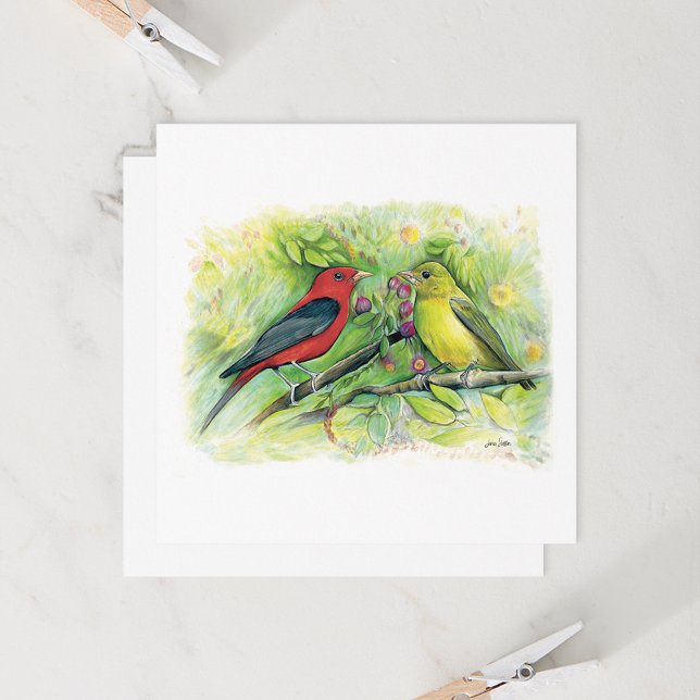 Ett vackert Scarlet Tanager-kort för par antecknin (Beautiful Scarlet Tanager Couple Watercolor Blank Note Cards from Jenn Steffen Art)