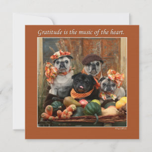 Ett vanligt Pug-Thanksgiving-kort Julkort