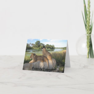 Ett Vänskap-kort Kort