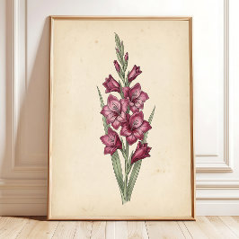 Ett vintage botaniskt Gladiolus konsttryck Poster