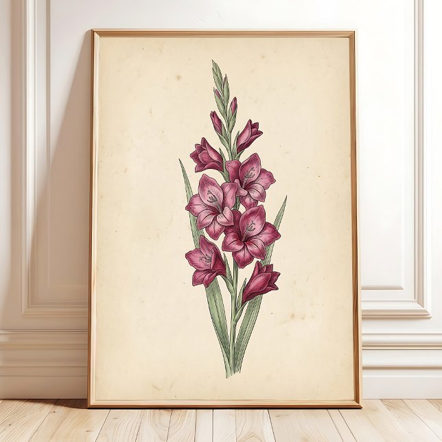 Ett vintage botaniskt Gladiolus konsttryck Poster (Skapare uppladdad)