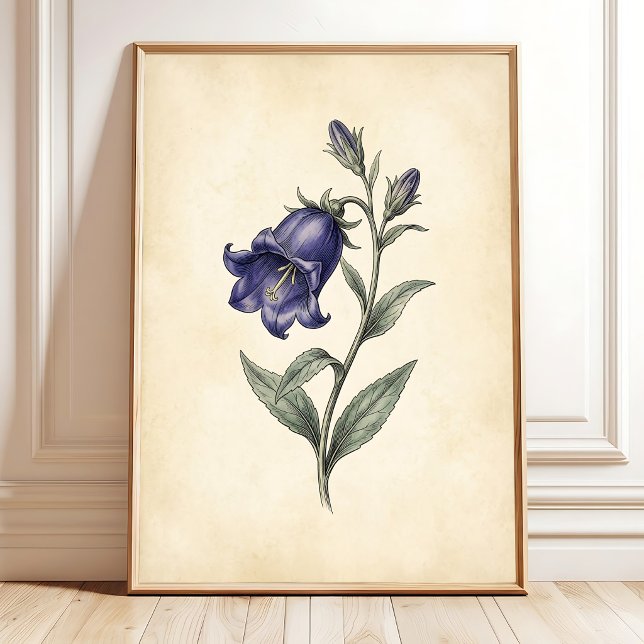 Ett vintage botaniskt konsttryck poster (Skapare uppladdad)