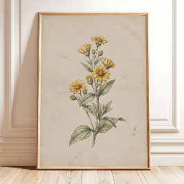 Ett vintage Melampodium blommaväggkonsttryck Poster