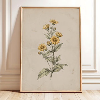Ett vintage Melampodium blommaväggkonsttryck Poster