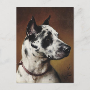Ett vykort för Great dane