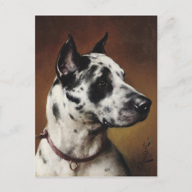 Ett vykort för Great dane (Framsida)