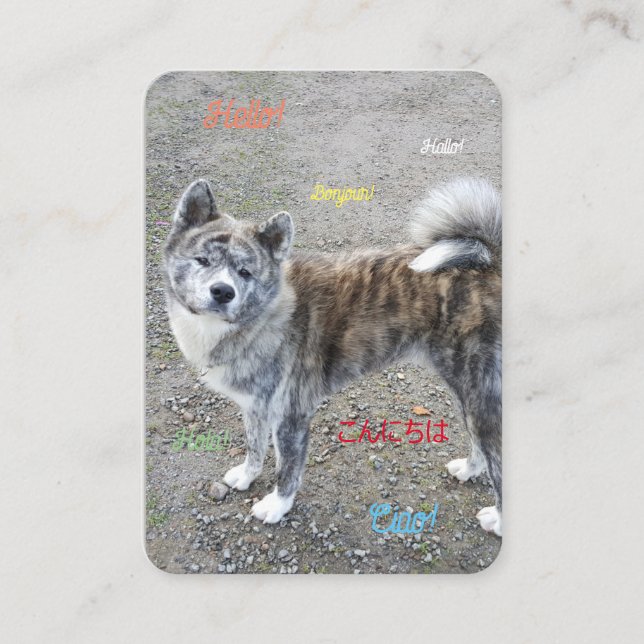 Ett vykort för känsel-bra placeringskort (Framsida)