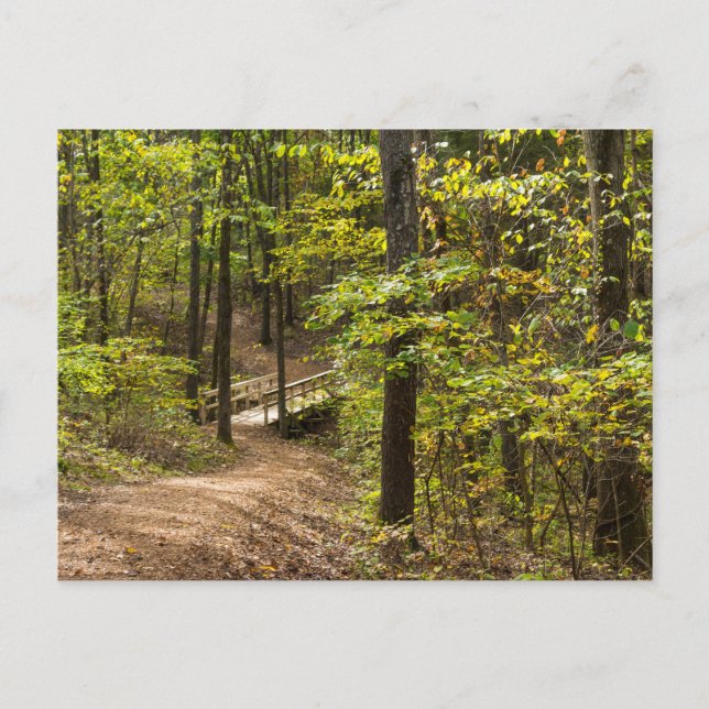 Ett vykort för körbana (Framsida)