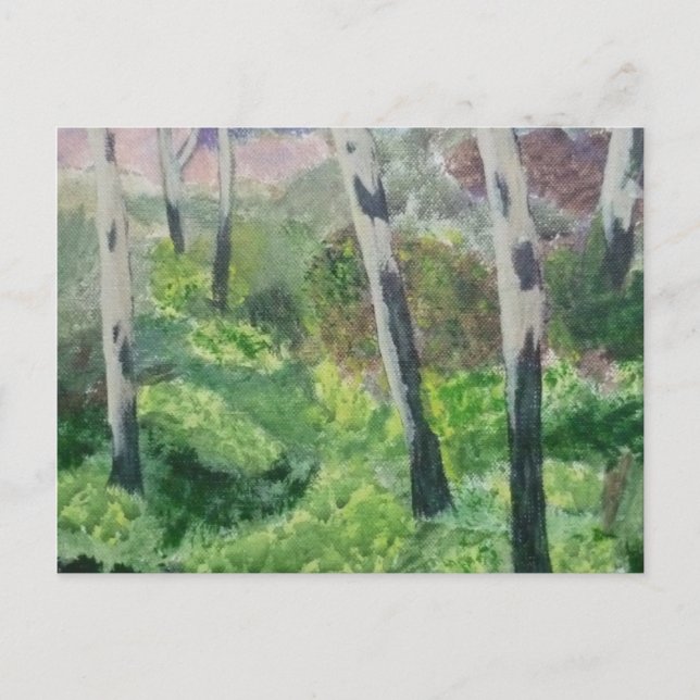 Ett vykort från Devon Primrose Wood. (Framsida)