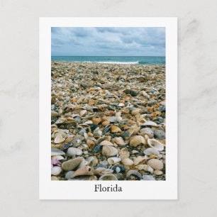 Ett vykort från en Florida, USA-strand med snäckor