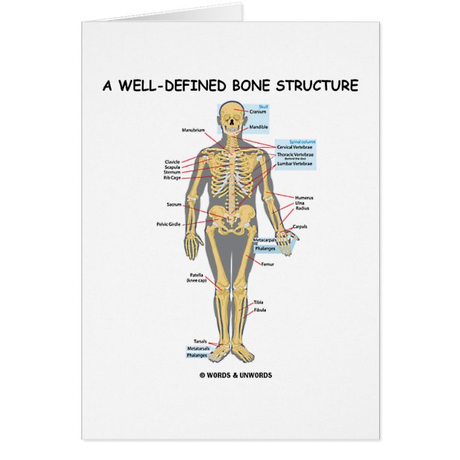 EttDefinierat ben strukturerar (människaskelett) Hälsningskort (Framsidan)
