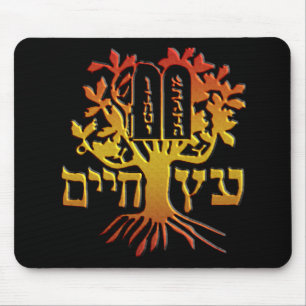 Etz Chaim Musmatta
