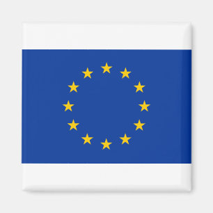 EU-Flagga Magnet