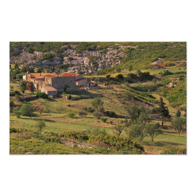 EU, Frankrike, Provence, Bouches, du, Rhone, 9 Fototryck (Framsidan)